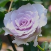 Thumbnail of related posts 093