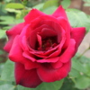 Thumbnail of related posts 073