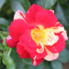 Thumbnail of related posts 018