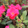 Thumbnail of related posts 071