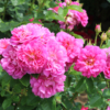 Thumbnail of related posts 049