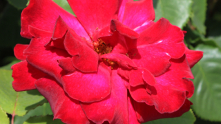 Thumbnail of post image 085