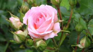 Thumbnail of post image 042