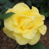 Thumbnail of new posts 140