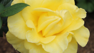 Thumbnail of post image 057