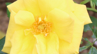 Thumbnail of post image 017