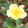 Thumbnail of new posts 077