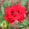 Thumbnail of related posts 026