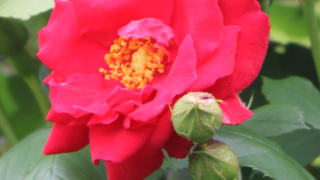 Thumbnail of post image 092