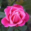 Thumbnail of new posts 027