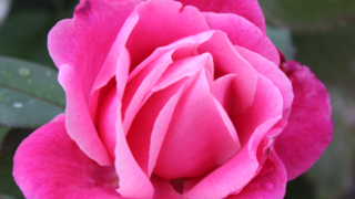 Thumbnail of post image 044