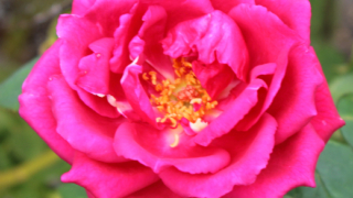 Thumbnail of post image 091