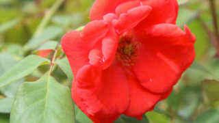 Thumbnail of post image 197