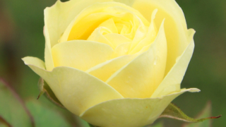 Thumbnail of post image 062