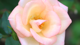 Thumbnail of post image 053