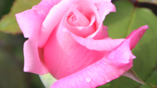 Thumbnail of post image 092