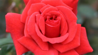 Thumbnail of post image 079